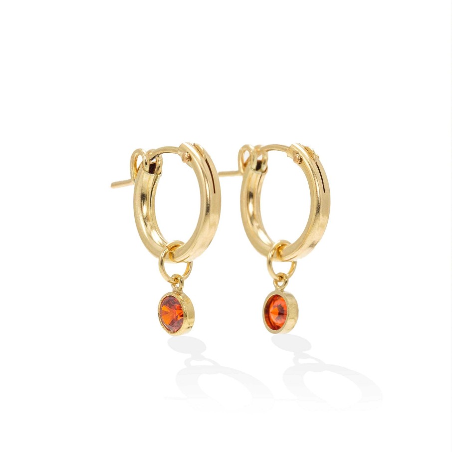 Hoops Lover's Tempo | January Birthstone Gold-Filled Hoop Earrings