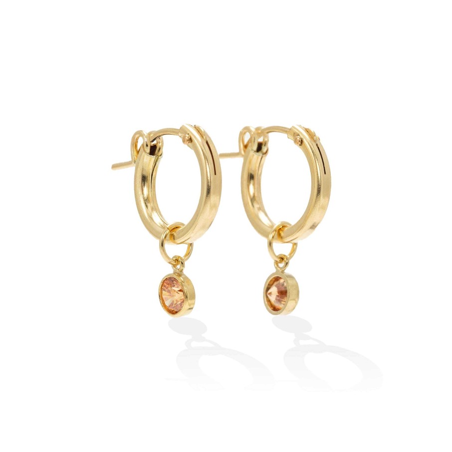 Hoops Lover's Tempo | November Birthstone Gold-Filled Hoop Earrings