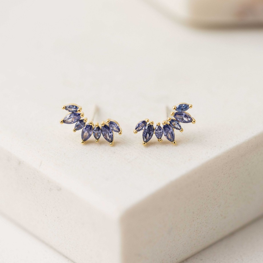 Earrings Lover's Tempo | Crown Climber Earrings