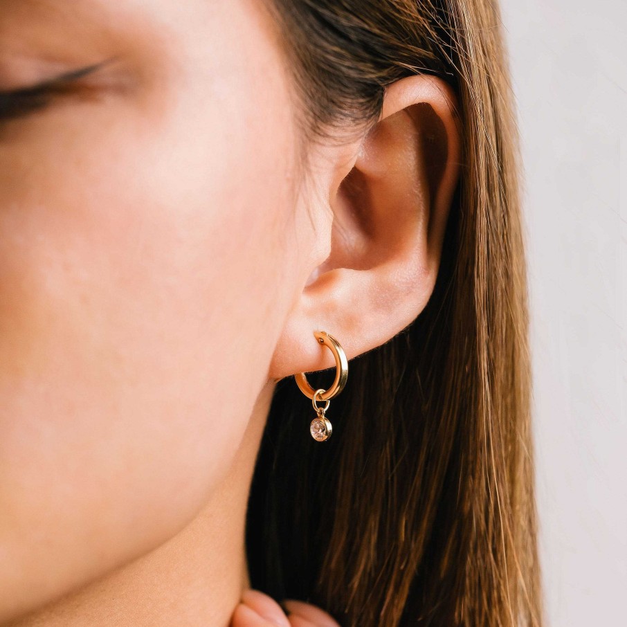 Hoops Lover's Tempo | February Birthstone Gold-Filled Hoop Earrings