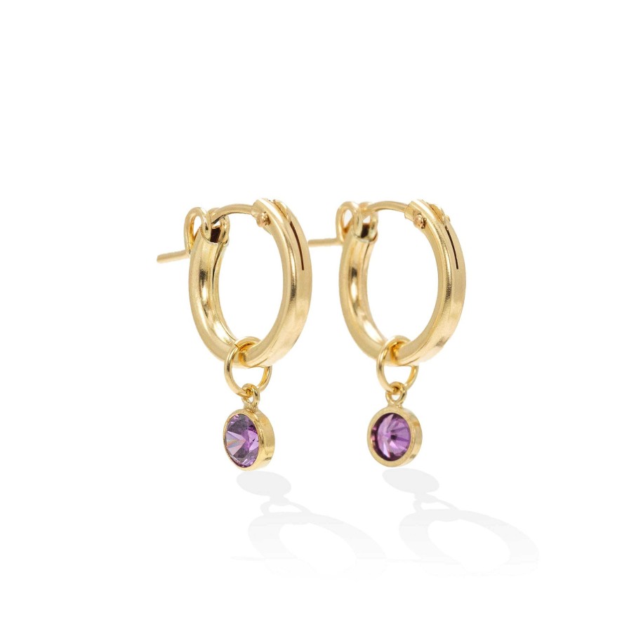 Earrings Lover's Tempo | February Birthstone Gold-Filled Hoop Earrings