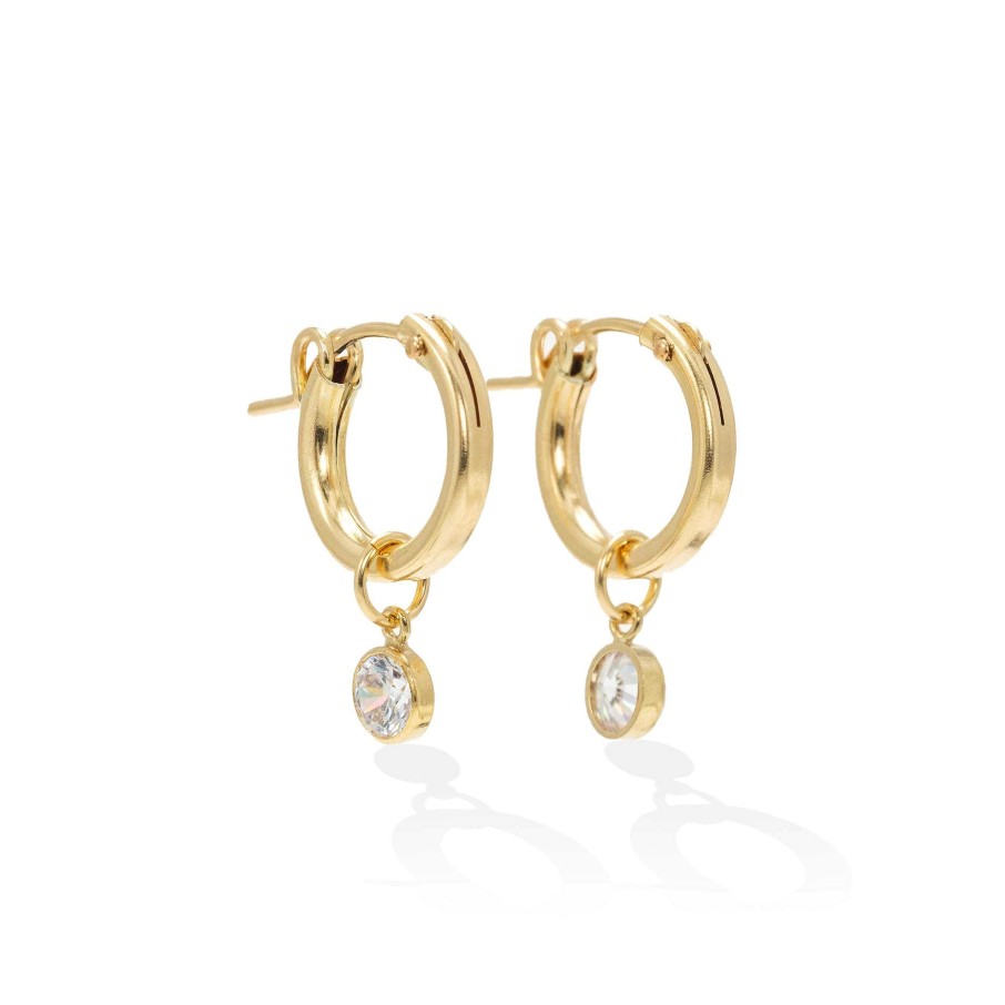 Earrings Lover's Tempo | April Birthstone Gold-Filled Hoop Earrings