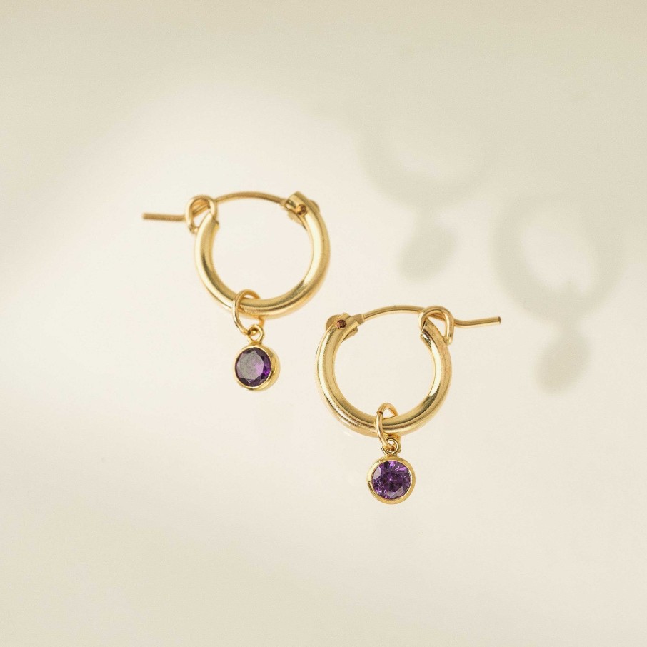 Earrings Lover's Tempo | February Birthstone Gold-Filled Hoop Earrings