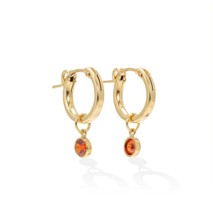 Earrings Lover's Tempo | January Birthstone Gold-Filled Hoop Earrings