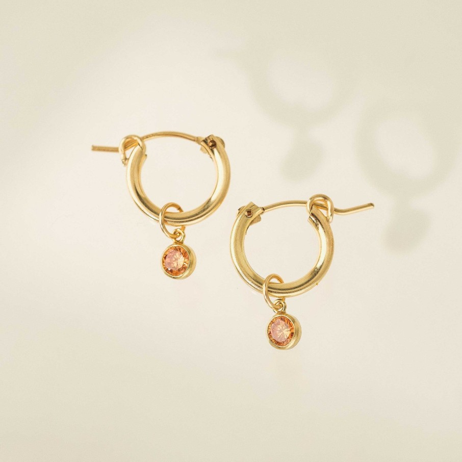 Earrings Lover's Tempo | November Birthstone Gold-Filled Hoop Earrings