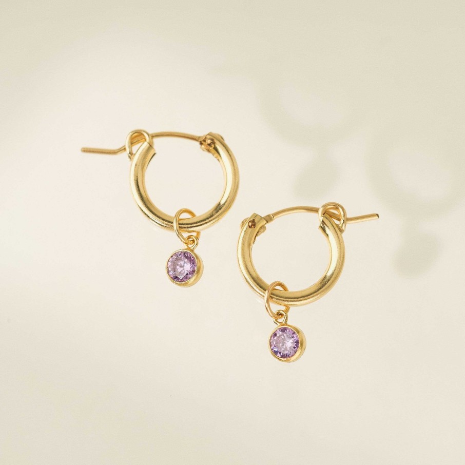 Earrings Lover's Tempo | June Birthstone Gold-Filled Hoop Earrings