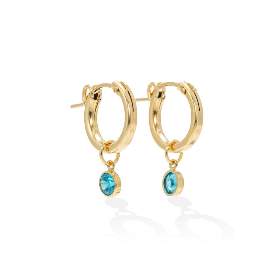 Earrings Lover's Tempo | December Birthstone Gold-Filled Hoop Earrings