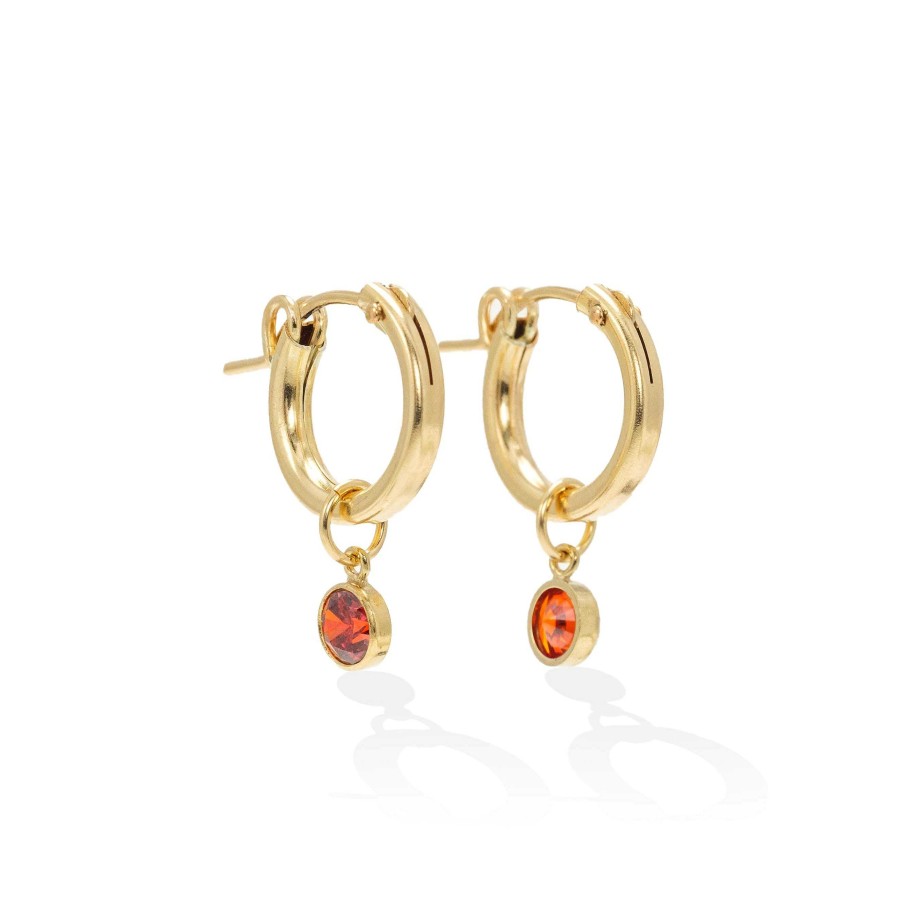 Hoops Lover's Tempo | July Birthstone Gold-Filled Hoop Earrings