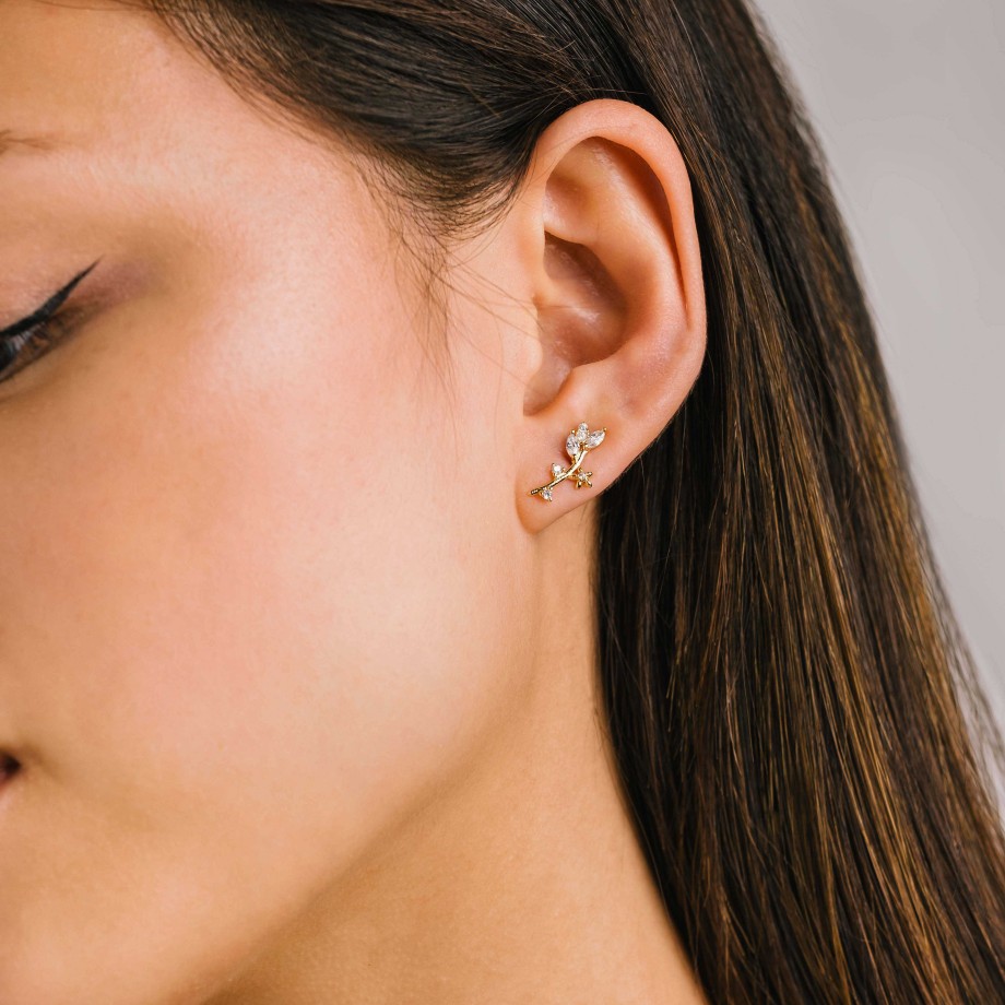 Earrings Lover's Tempo | Eden Climber Earrings